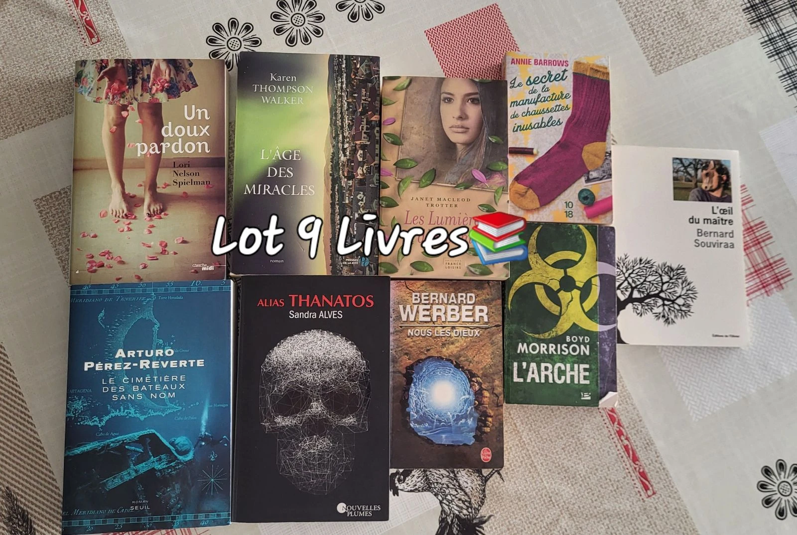 Lot de 9 livres 📚 : Thrillers, Romans etc